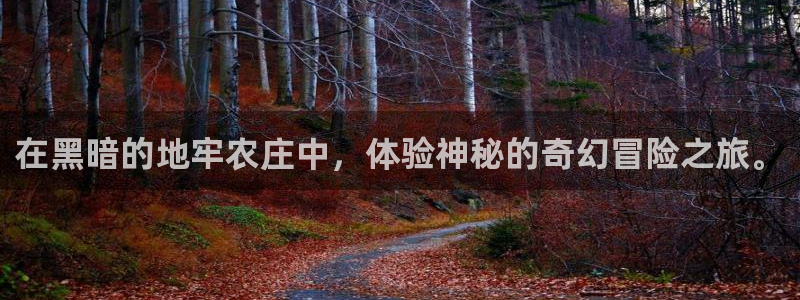 必一体育app官方正版下载