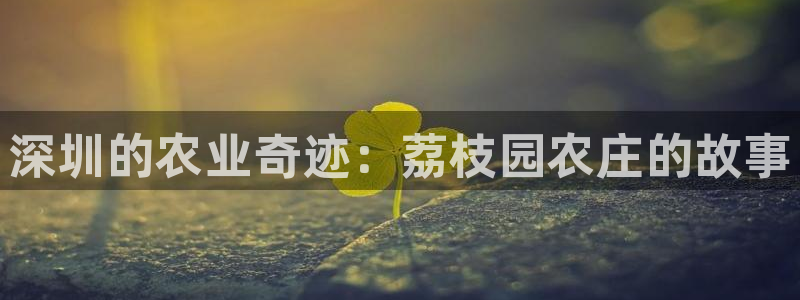 必一体育登录入口