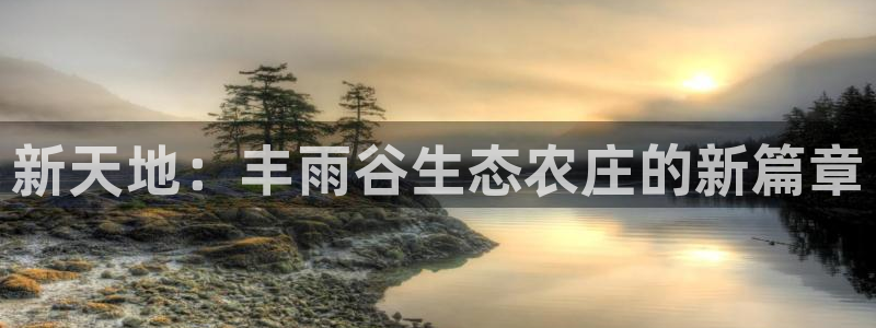 必一体育黑平台