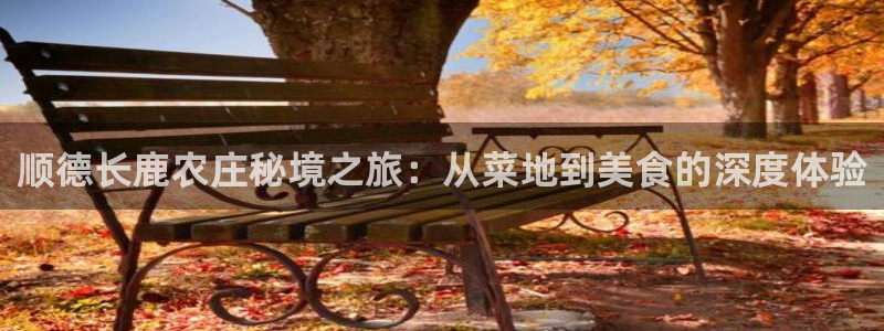 必一体育运动官网