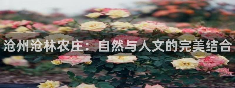 必一体育app官方网站