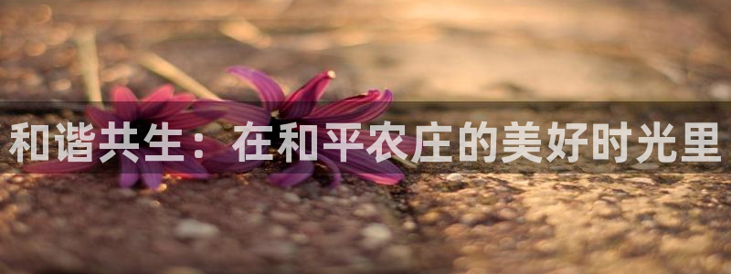 必一运动·体育