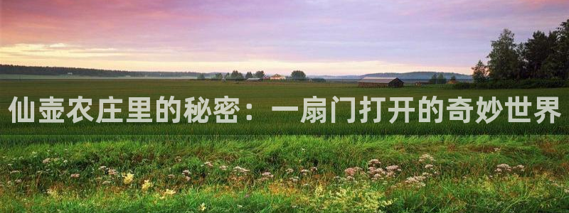 必一体育服下载最新版本更新内容