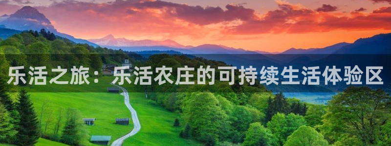 必一体育在哪下