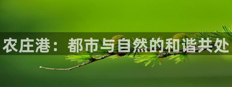 必一体育可靠吗