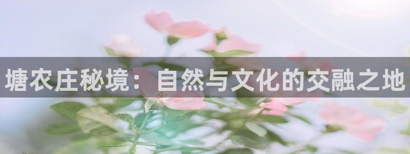 必一体育手机下载