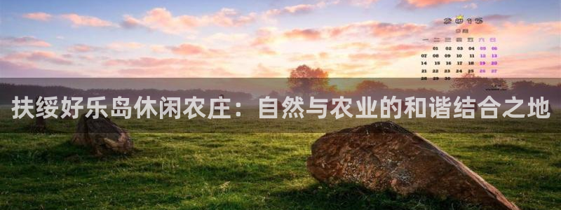 必一运动体育app