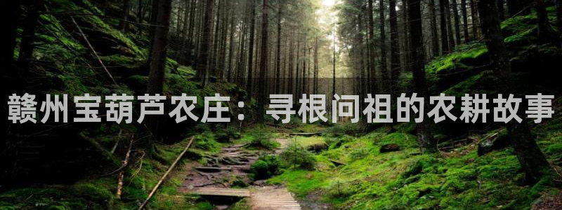 必一体育在线登录