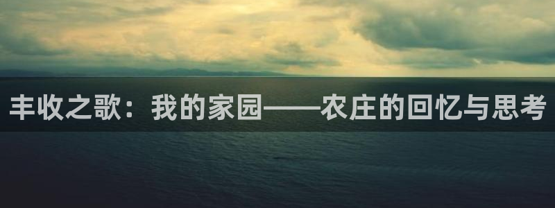 必一体育官网app