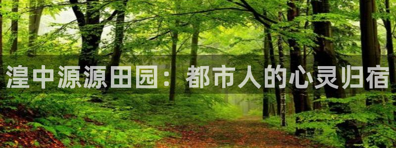 必一体育网页版登录