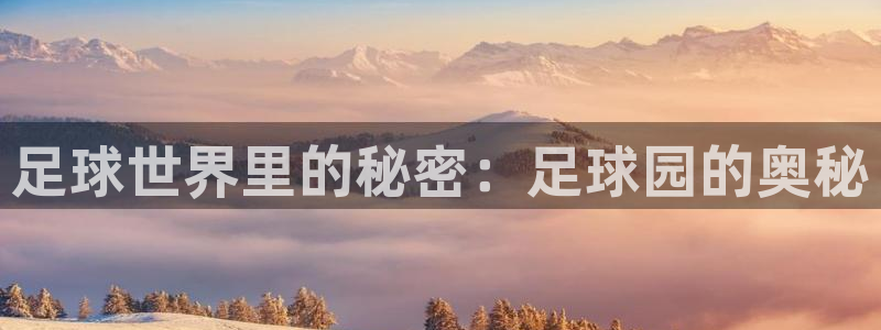 必一体育在线登陆