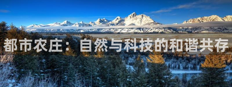 必一体育官方网站入口