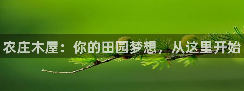 Bsport体育app必一