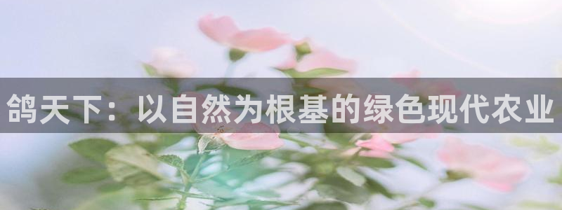 必一体育官网网址