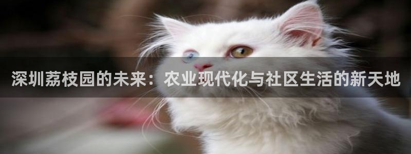 必一体育流水线是什么意思