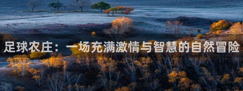 必一体育官网网址