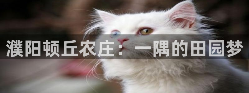 必一运动·(B-sports)