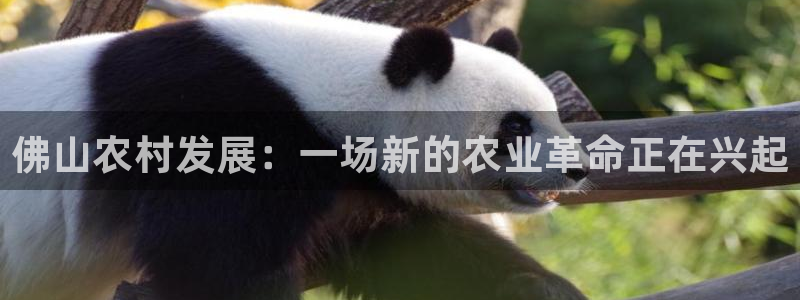 必一体育在线入口