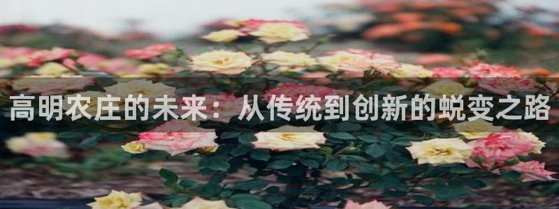 必一体育APP下载安装