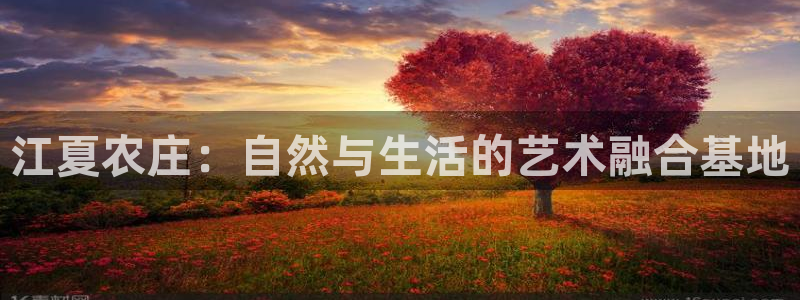 必一体育是哪里的台子