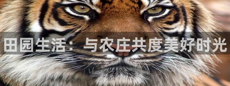 必一运动 b 体育素描版