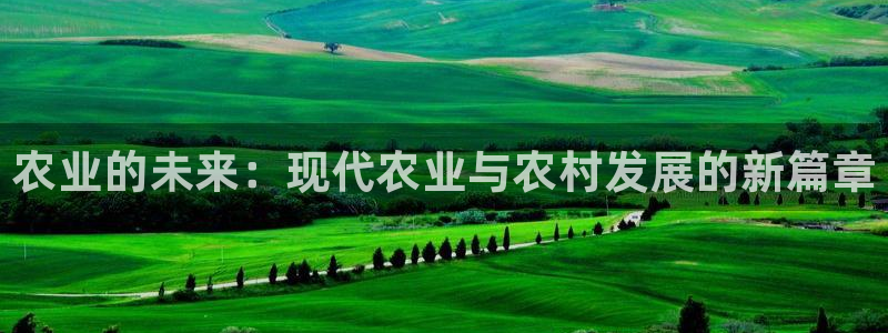 必一体育最新官网入口首页