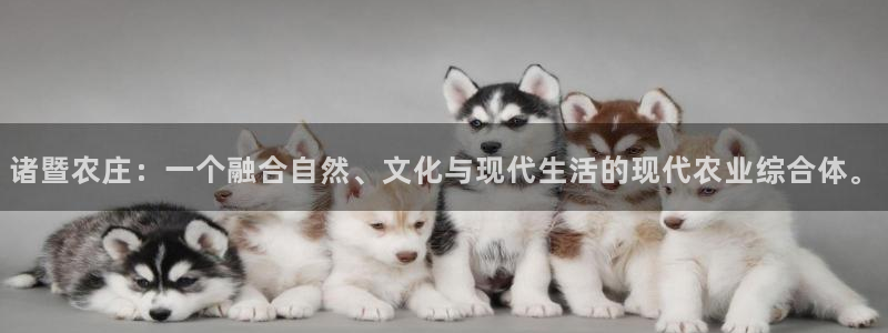 必一体育在线登录