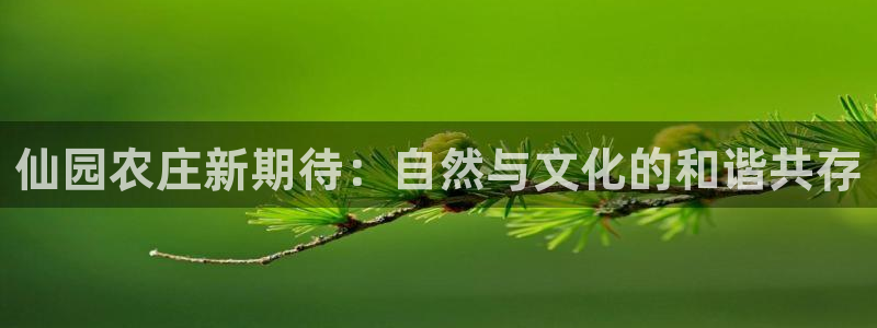 必一运动官网登录入口