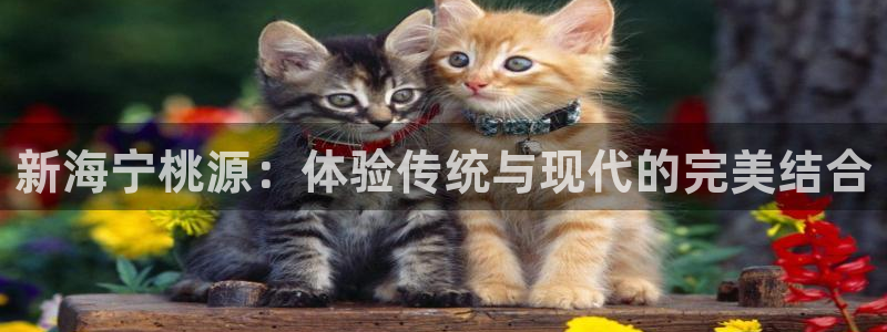 必一运动·(b-sports)官方网站