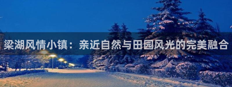 必一体育运动官网