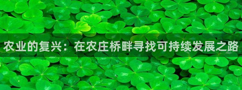 必一体育app下载装机吧