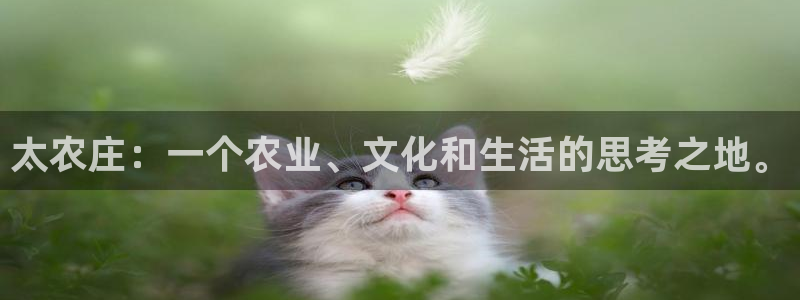 必一体育可靠吗