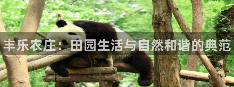 必一体育sport装机吧