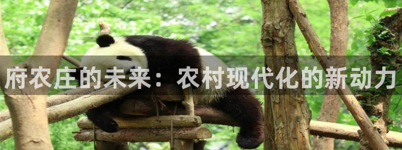 必一体育官方下载