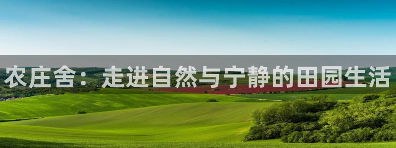 必一体育登录入口APP