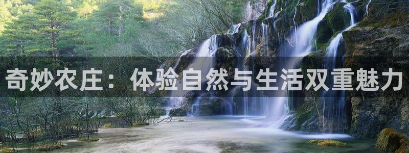 必一体育合法吗