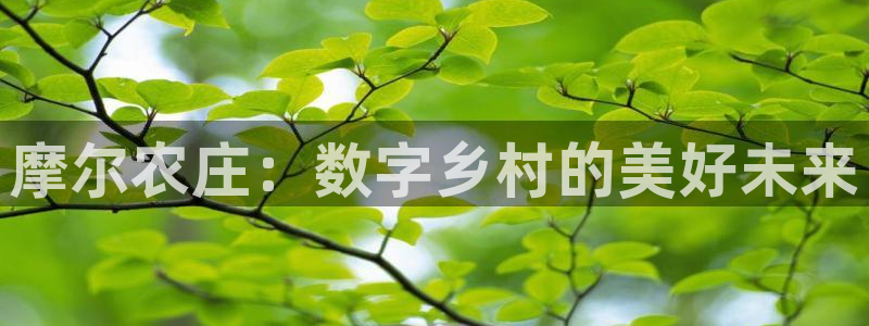 必一体育下载登入
