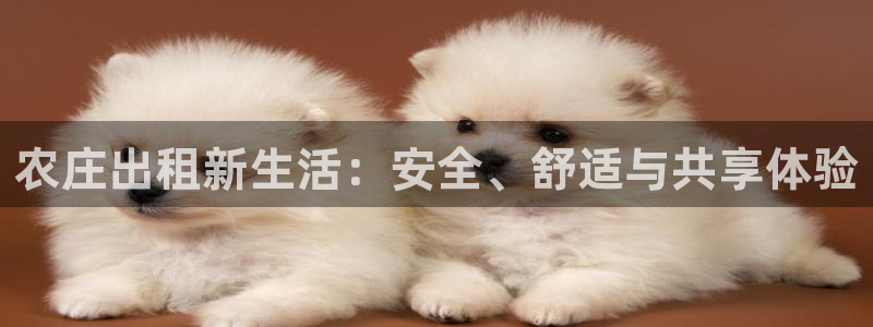 必一体育最新官网入口首页