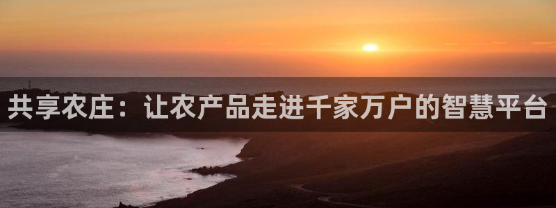 必一运动 b 体育素描版