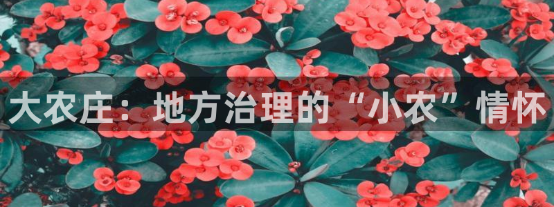 必一体育运动下载