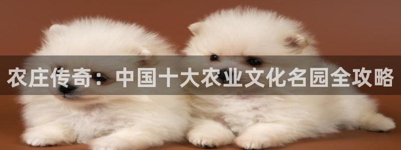 必一运动官网入口