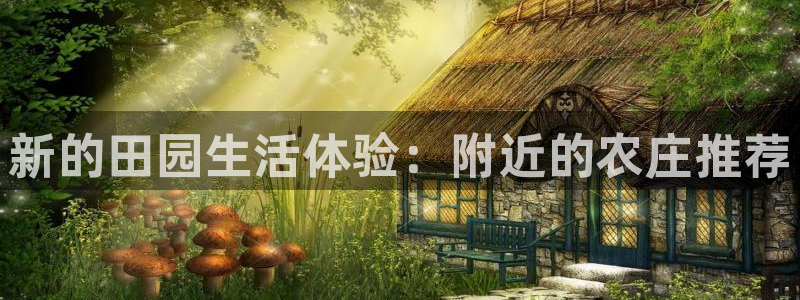 必一体育在线玩