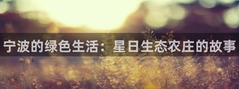 必一体育sportB体育