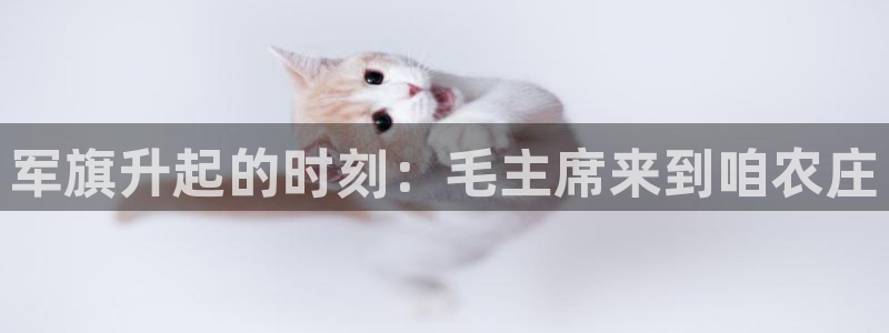 必一体育服下载最新版本更新内容