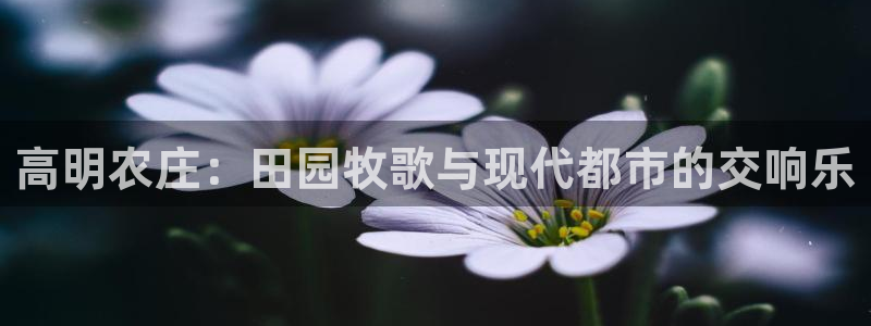 必一体育官网网站