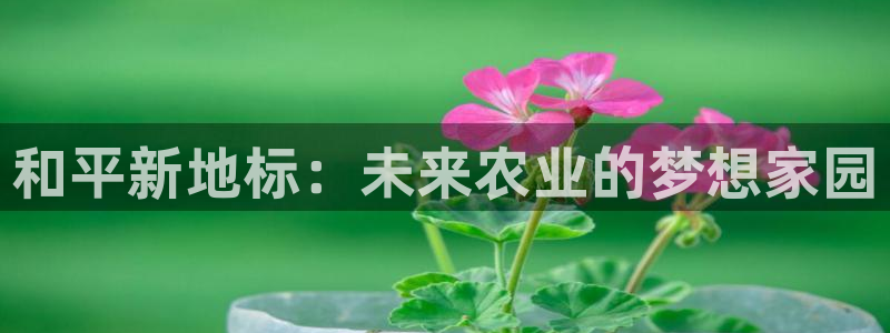 必一体育黑平台