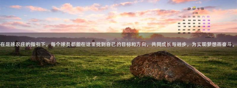 必一体育官网网站