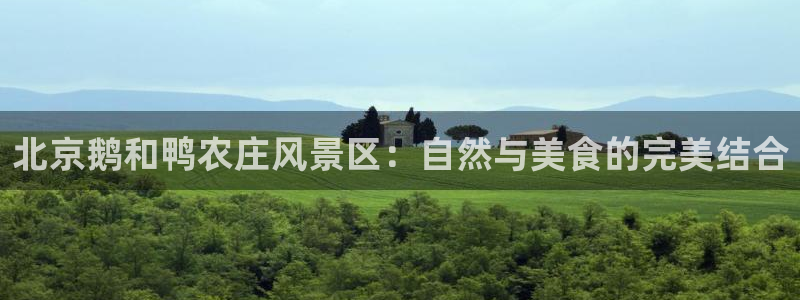 必一运动官网登录入口