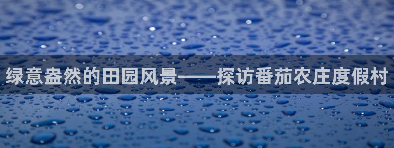 必一运动体育app