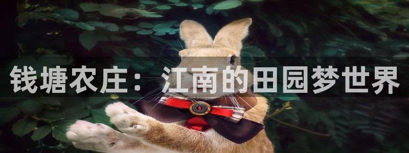 必一体育app下载安装